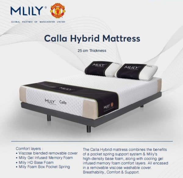 Mlily Base with Mlily Mattress - Image 6