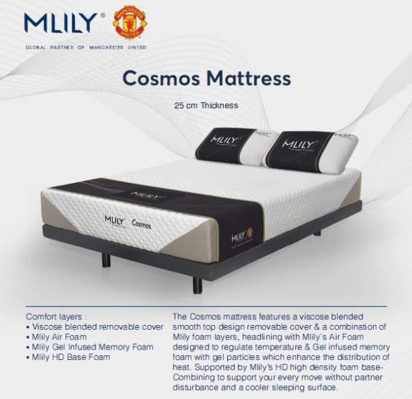 Mlily Base with Mlily Mattress - Image 5