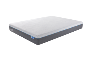 iActive20 with Mlily Mattress