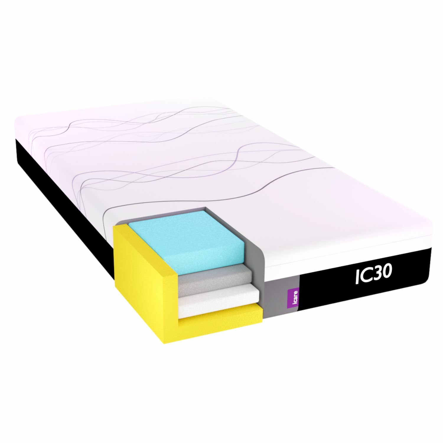 IC30 ActiveX™